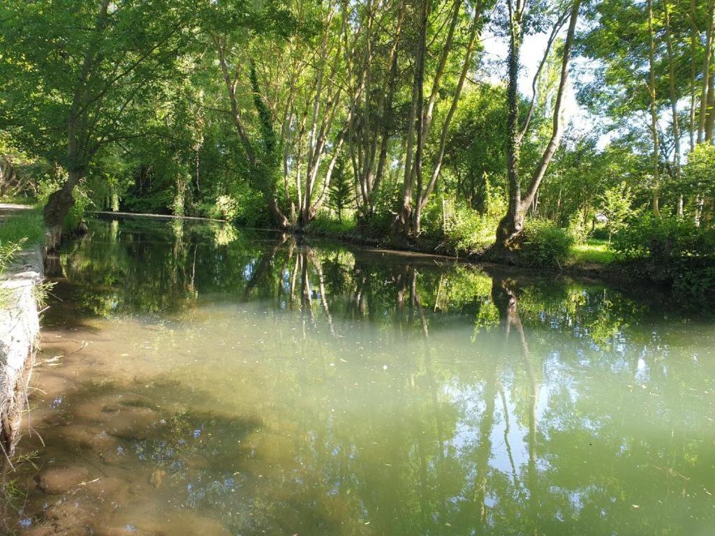 Studio Cerf, Quartier Marais, Terrasse Rez De Chausse, Jardin Accessible, Matelas Confortable Bourges Bagian luar foto